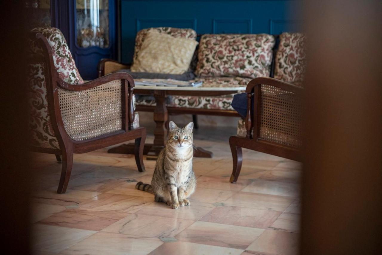 La Bellevue Bréville - B&B Extérieur photo